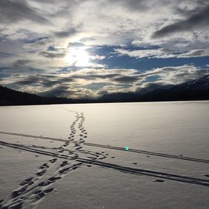 Meet your Posher, Regan